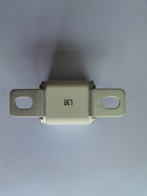 AC2000V/1min EV 차량 보호 30A - 450A &gt; 3000h 수명